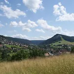 Apartment Schwarzwald - Haus Sommerberg *