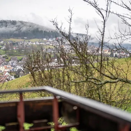 Appartement Schwarzwald - Haus Sommerberg