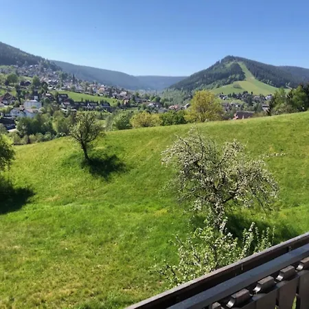 Apartment Schwarzwald - Haus Sommerberg