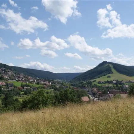 Schwarzwald - Haus Sommerberg Apartment