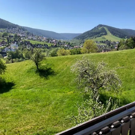 Apartment Schwarzwald - Haus Sommerberg *